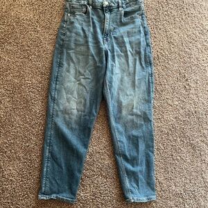 American Eagle Outfitters Curvy Mom Fit Blue Jeans